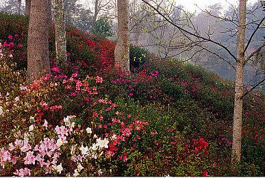 《廖添丁：绝代凶贼之末日》Steam售价上涨 国区不受影响